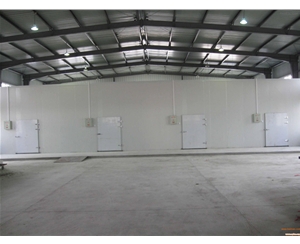 冷庫(kù)設(shè)計(jì)